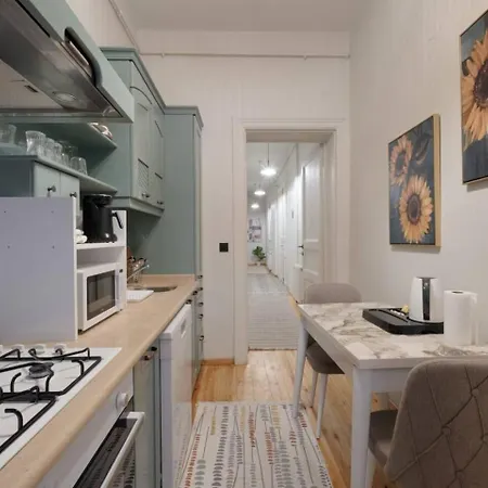 Spacious Rustic 2 Bedroom Few Steps From Galata Tower