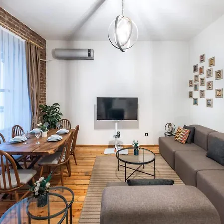 Spacious Rustic 2 Bedroom Few Steps From Galata Tower 公寓 伊斯坦布尔